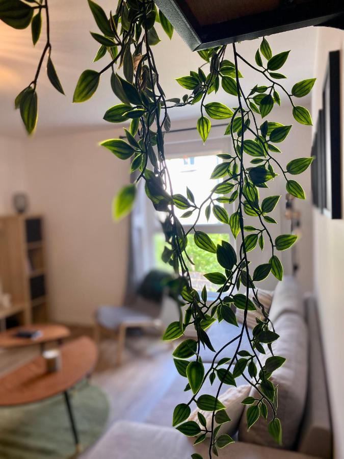 Dijon - Appartement Darcy / Gare Екстер'єр фото